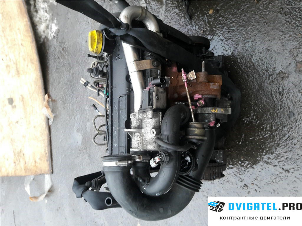 Двигатель Renault Kangoo 1998 - 2008 K9K 704 1.5 л., Дизель, DCI, артикул 5052501