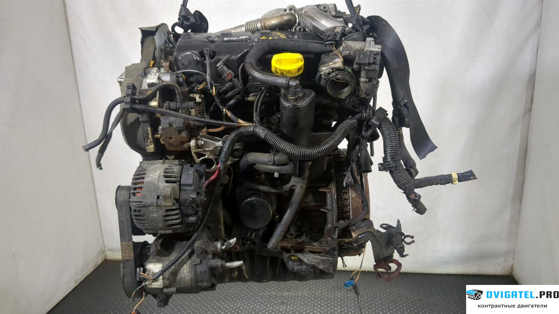 Двигатель Renault Megane 2 2002 - 2009 F9Q 804 1.9 л., Дизель, DCI, артикул 8835251